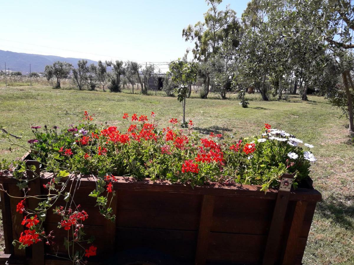 B & B Country House Capoterra Εξωτερικό φωτογραφία